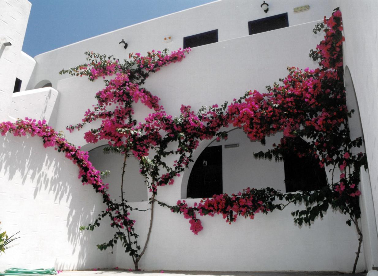 San Antonio Summer House Piso Livadi Exterior foto